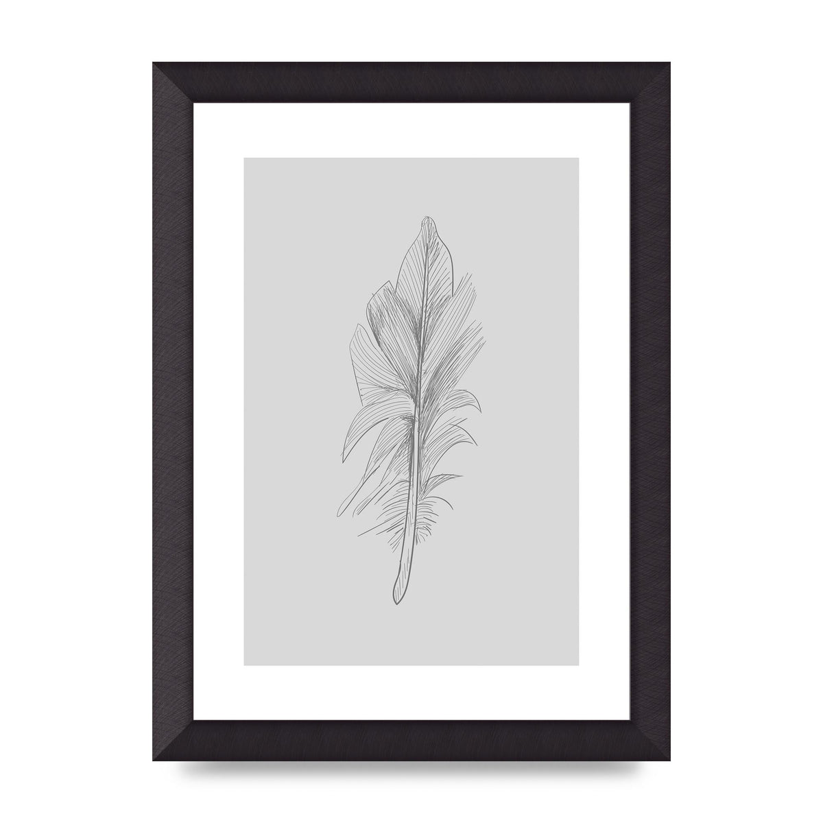 Feather Grey 3 Art For The Home - A4 framed