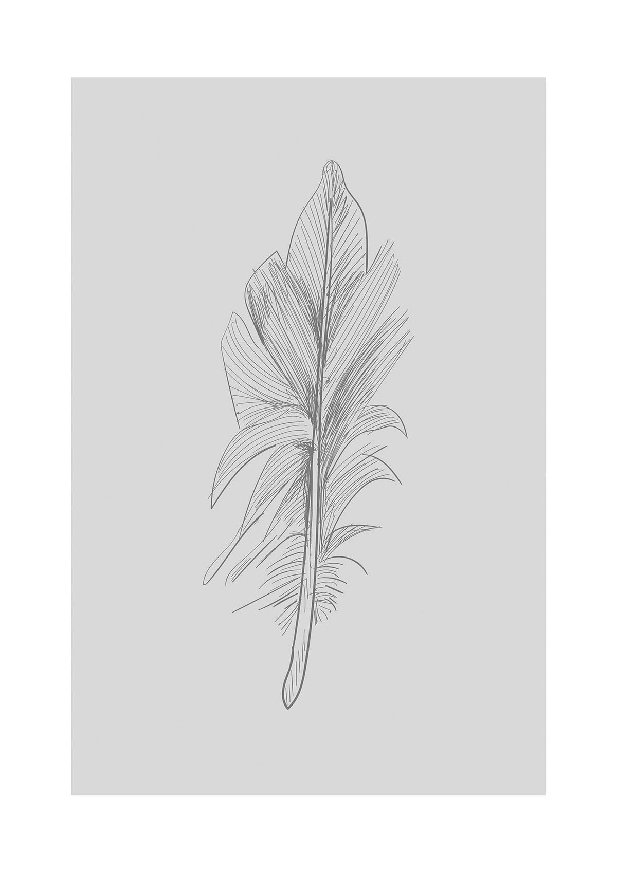 Feather Grey 3 Art For The Home - detail