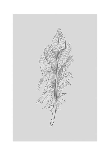 Feather Grey 3 Art For The Home - detail