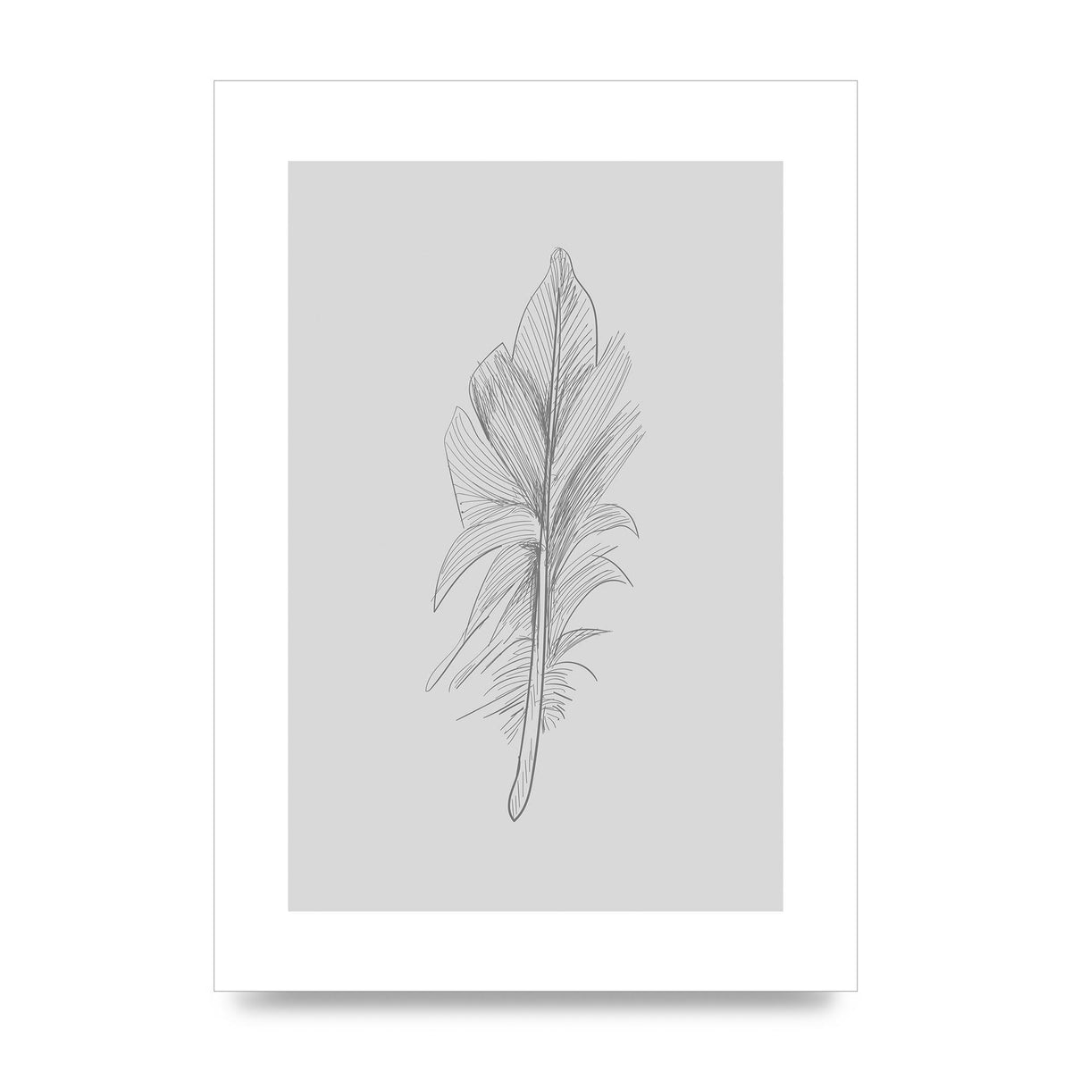 Feather Grey 3 Art For The Home - unframed print