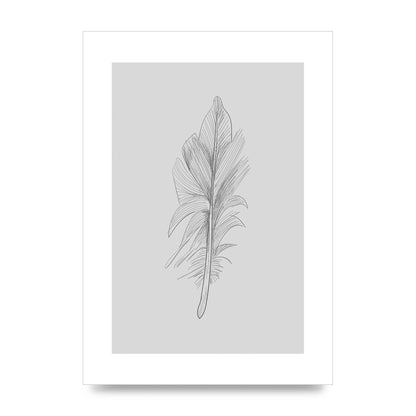 Feather Grey 3 Art For The Home - unframed print