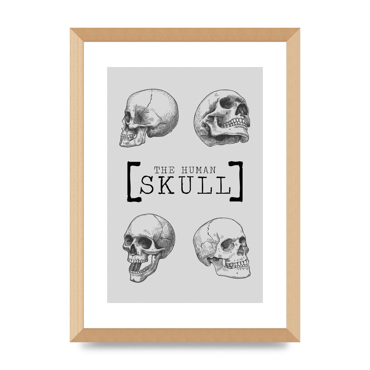 The Human Skull Printed Poster - A3 framed
