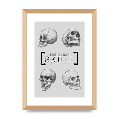 The Human Skull Printed Poster - A3 framed