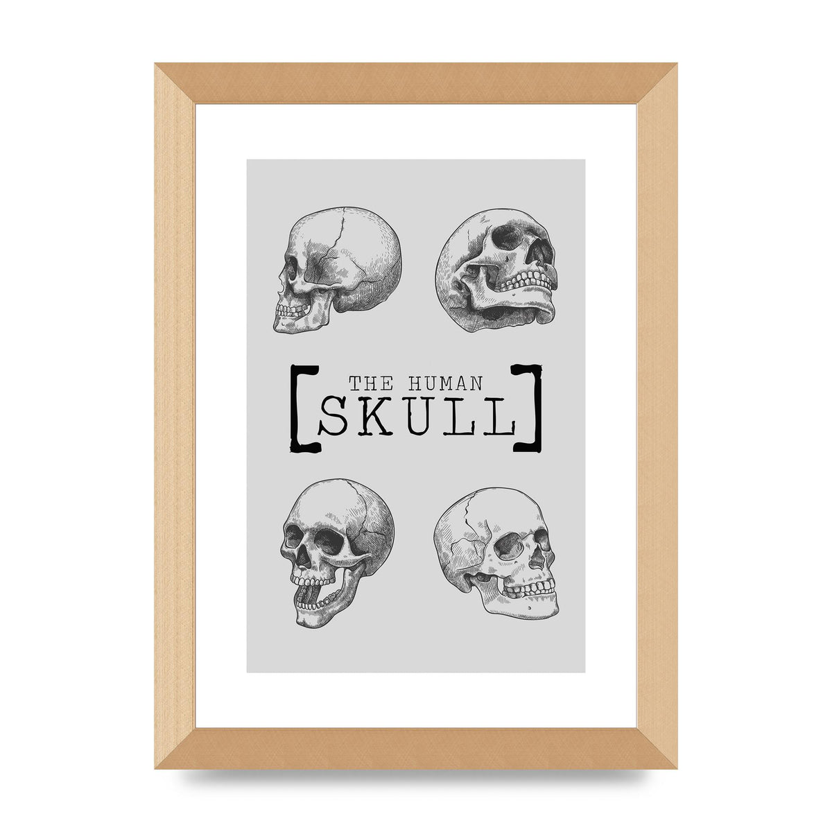 The Human Skull Printed Poster - A4 framed
