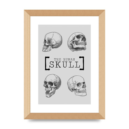 The Human Skull Printed Poster - A4 framed