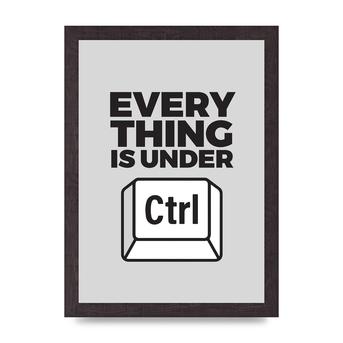 Everything Is Under Control" Printed Poster - A4 framed