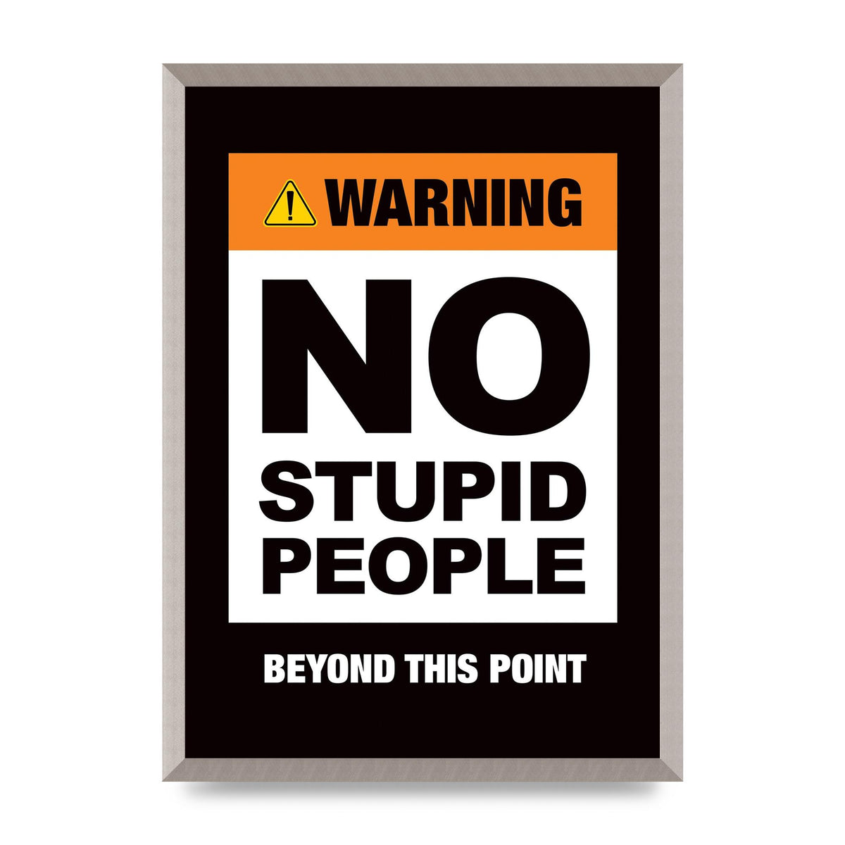 No Stupid People" Wall Art - A2 framed