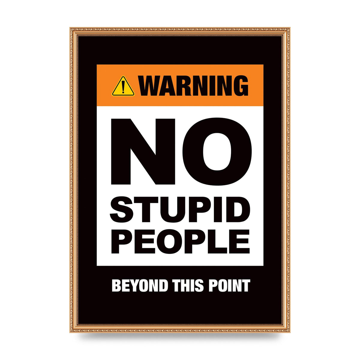 No Stupid People" Wall Art - A2 framed