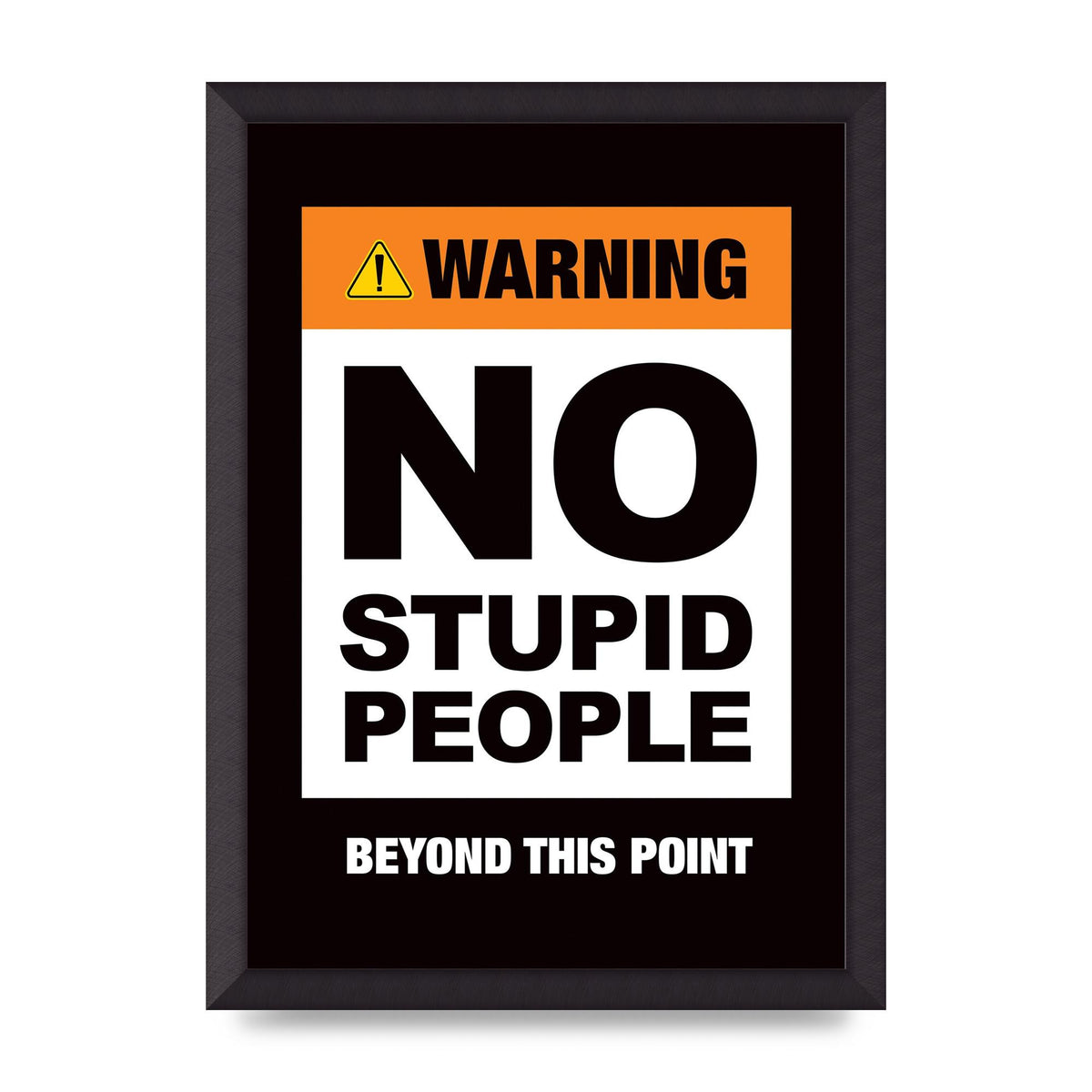 No Stupid People" Wall Art - A3 framed