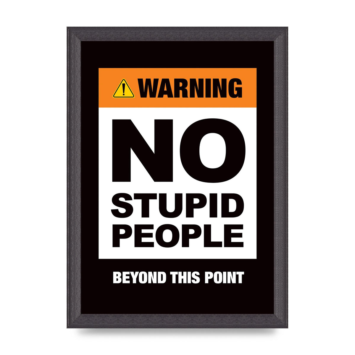 No Stupid People" Wall Art - A4 framed