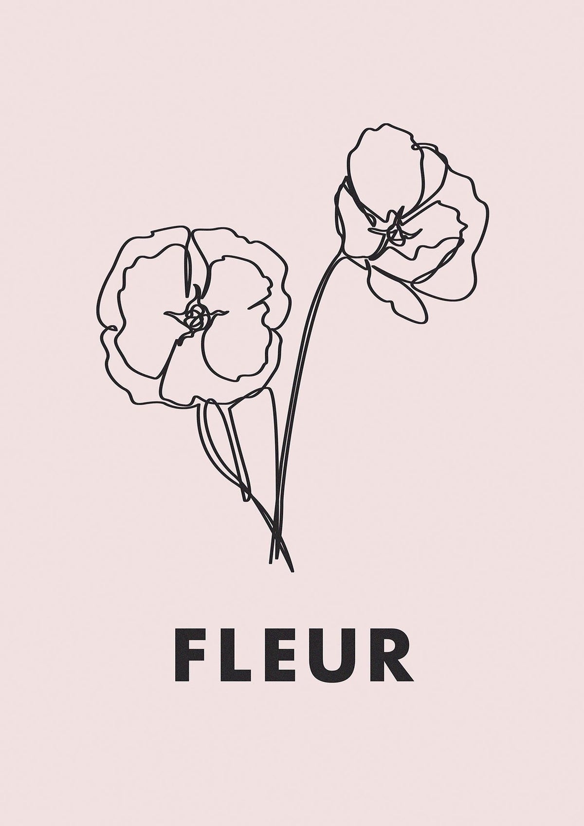 Fleur Line Drawing Art For The Home - detail