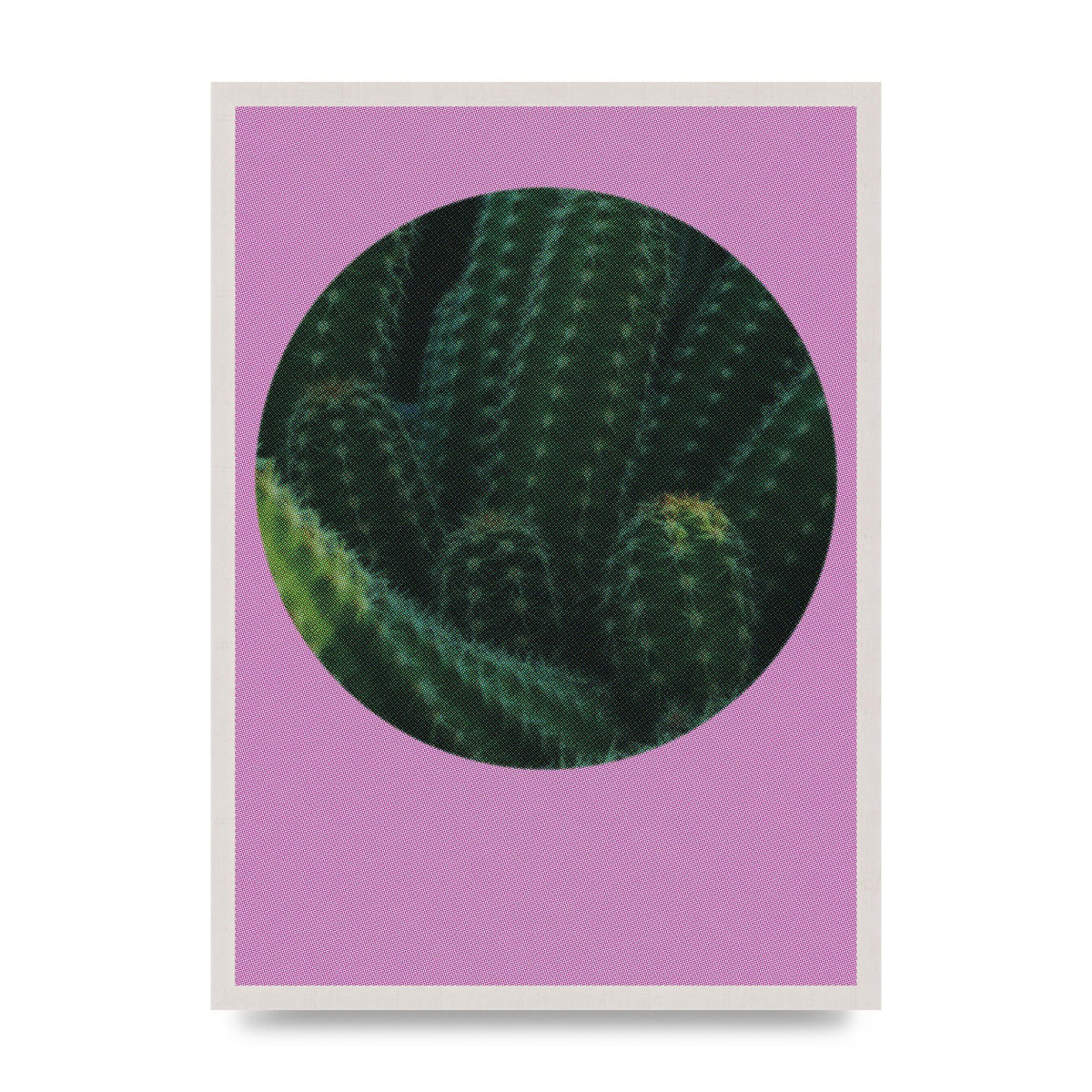 Halftone Cactus Pink Art For The Home - A2 framed