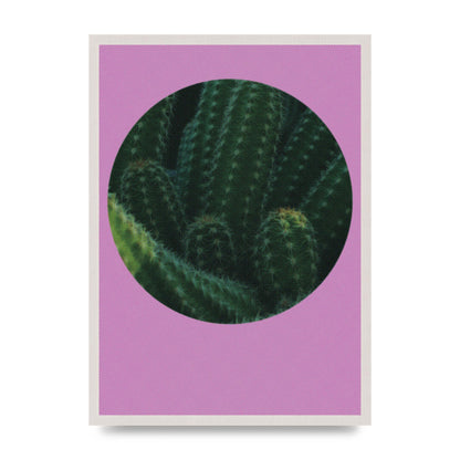 Halftone Cactus Pink Art For The Home - A2 framed