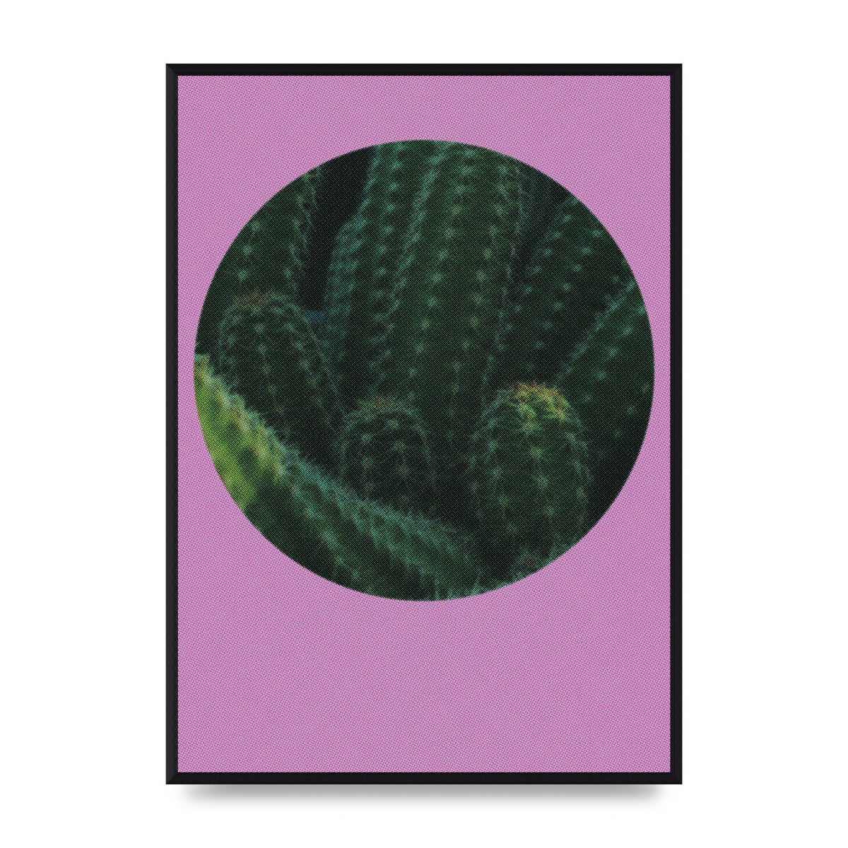 Halftone Cactus Pink Art For The Home - A2 framed