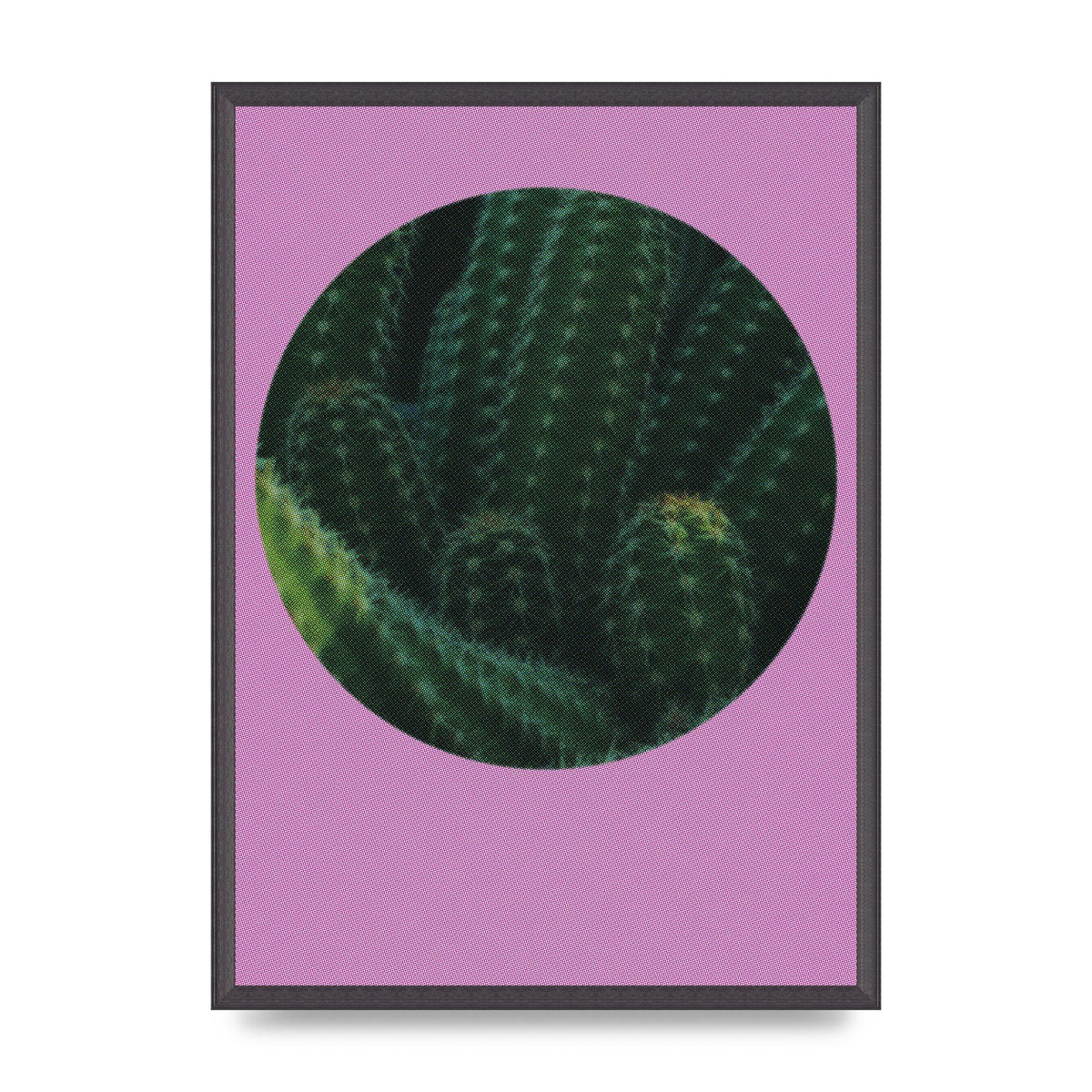 Halftone Cactus Pink Art For The Home - A2 framed