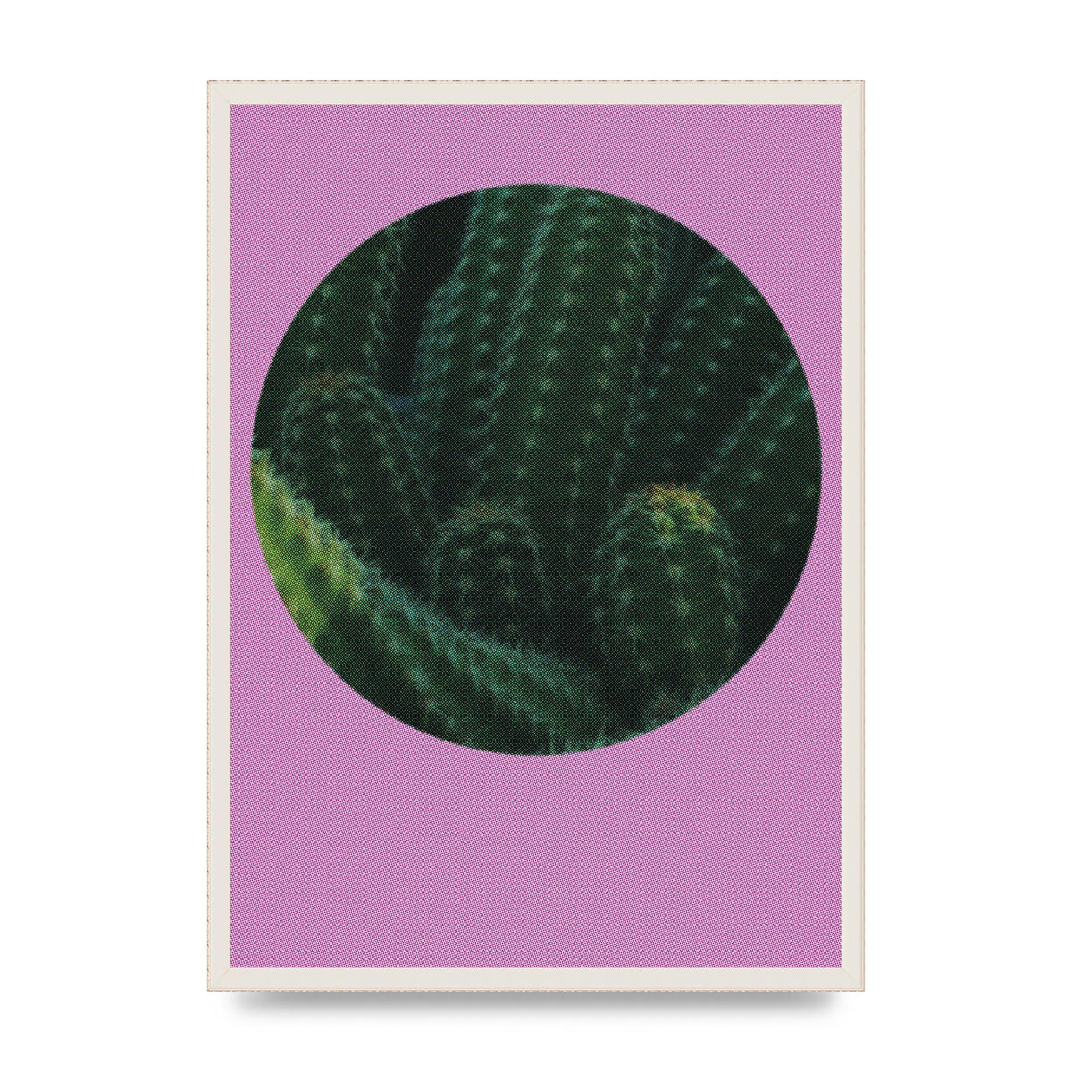 Halftone Cactus Pink Art For The Home - A2 framed