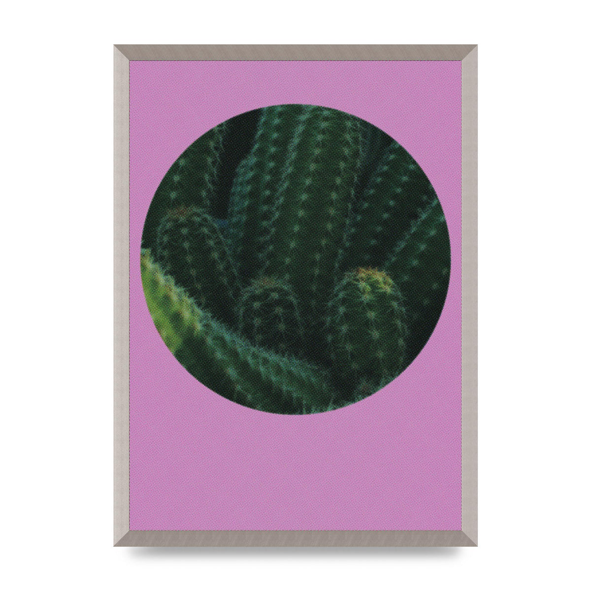 Halftone Cactus Pink Art For The Home - A2 framed