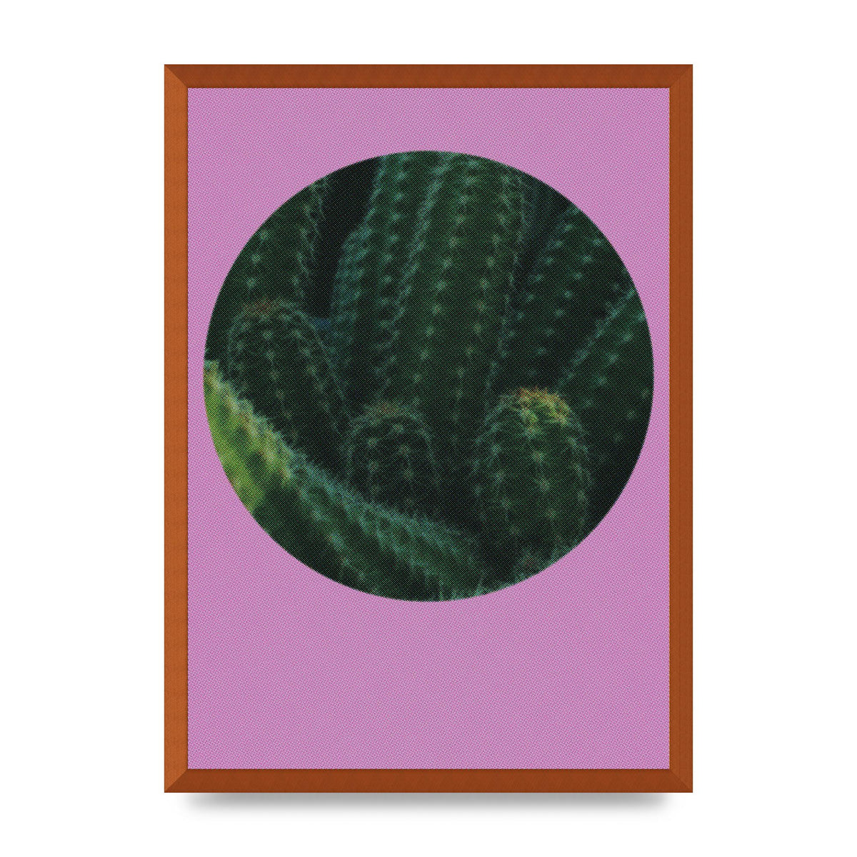 Halftone Cactus Pink Art For The Home - A2 framed