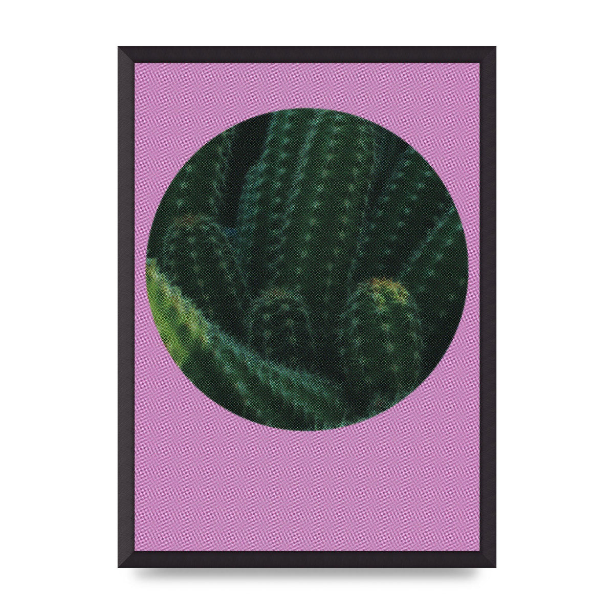 Halftone Cactus Pink Art For The Home - A2 framed