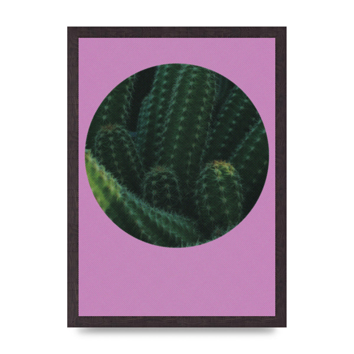 Halftone Cactus Pink Art For The Home - A3 framed