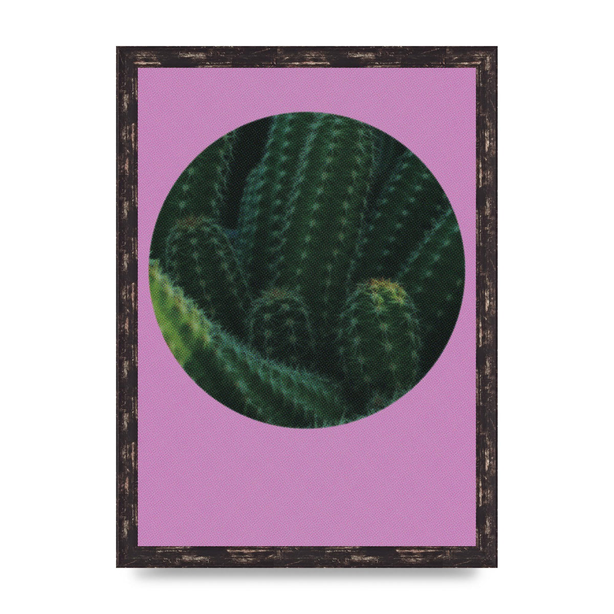 Halftone Cactus Pink Art For The Home - A3 framed