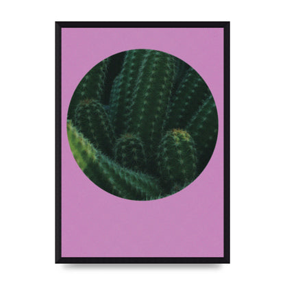 Halftone Cactus Pink Art For The Home - A3 framed