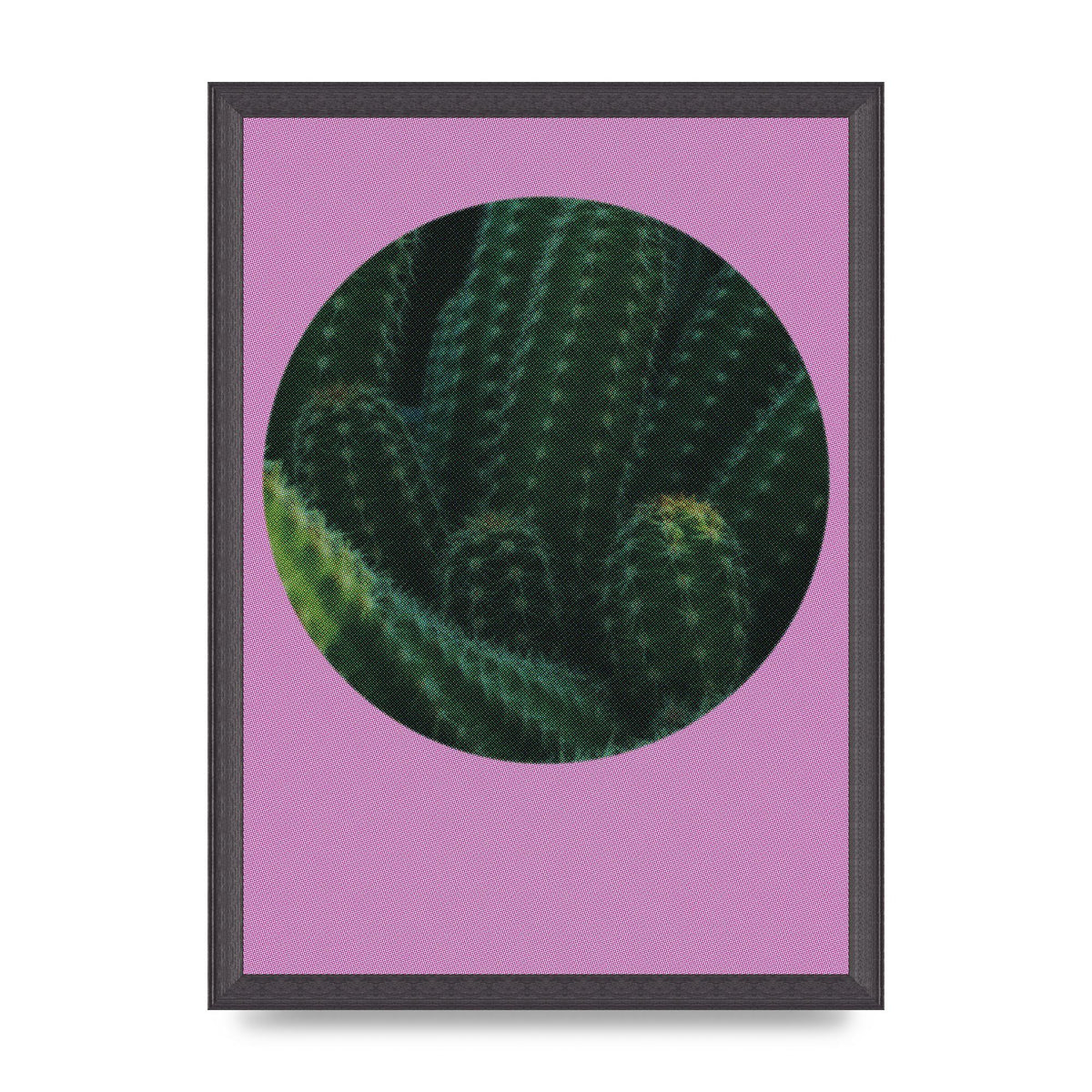 Halftone Cactus Pink Art For The Home - A3 framed