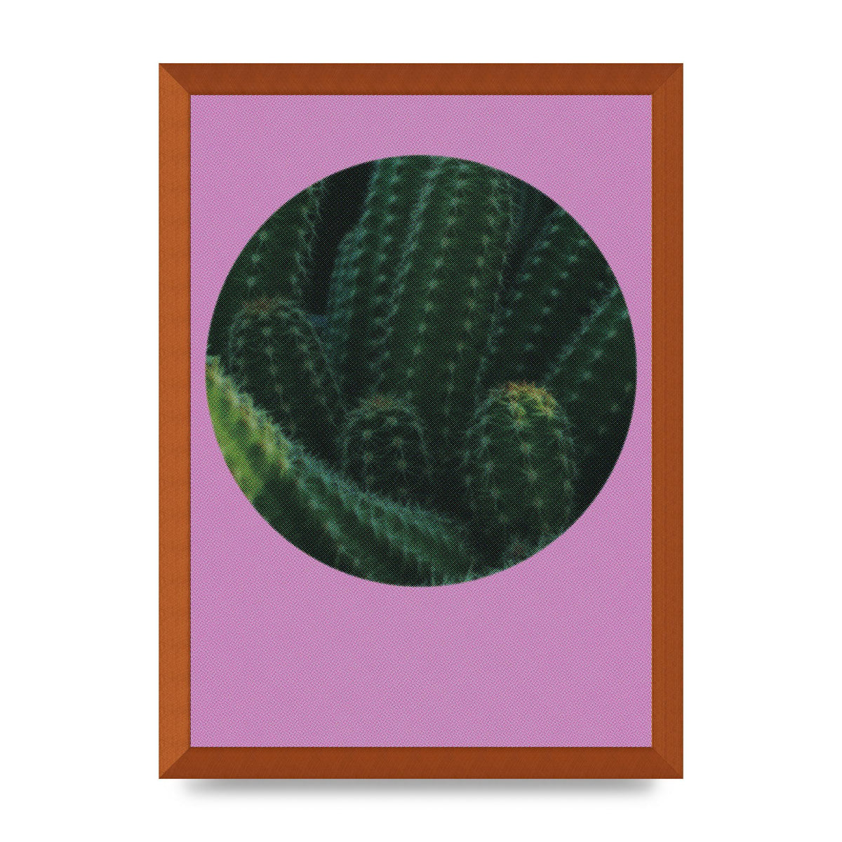 Halftone Cactus Pink Art For The Home - A3 framed