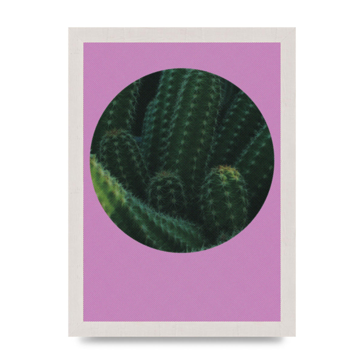 Halftone Cactus Pink Art For The Home - A4 framed