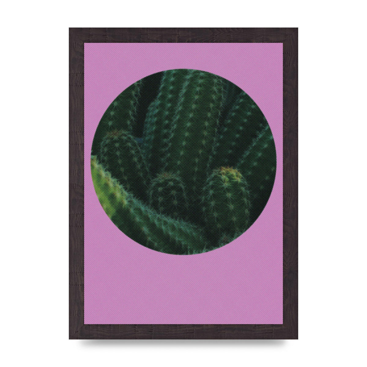 Halftone Cactus Pink Art For The Home - A4 framed