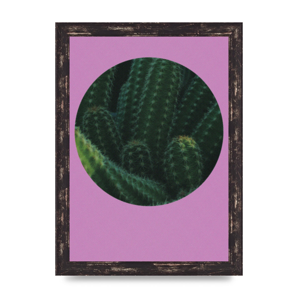 Halftone Cactus Pink Art For The Home - A4 framed
