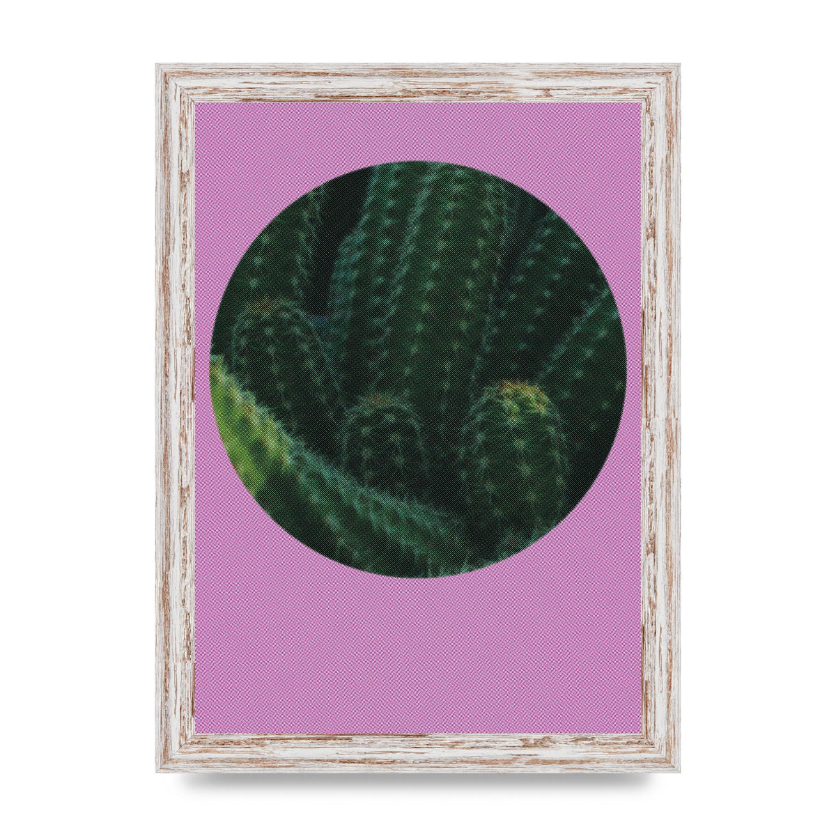 Halftone Cactus Pink Art For The Home - A4 framed