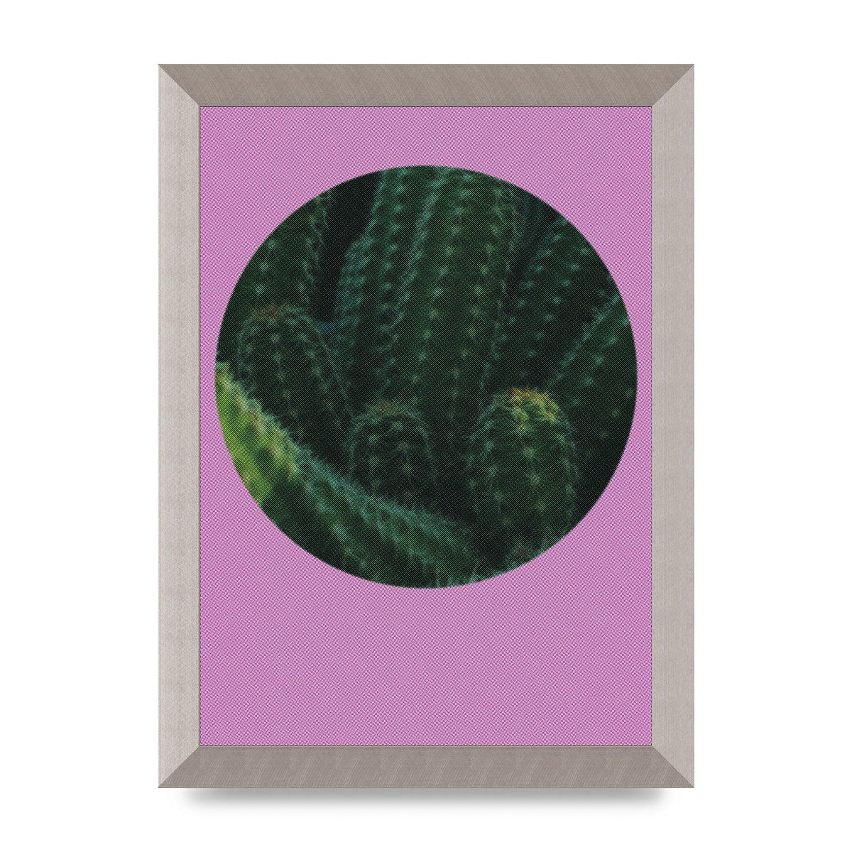 Halftone Cactus Pink Art For The Home - A4 framed