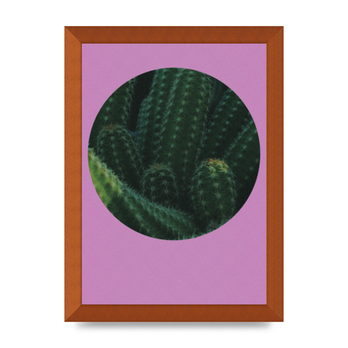 Halftone Cactus Pink Art For The Home - A4 framed