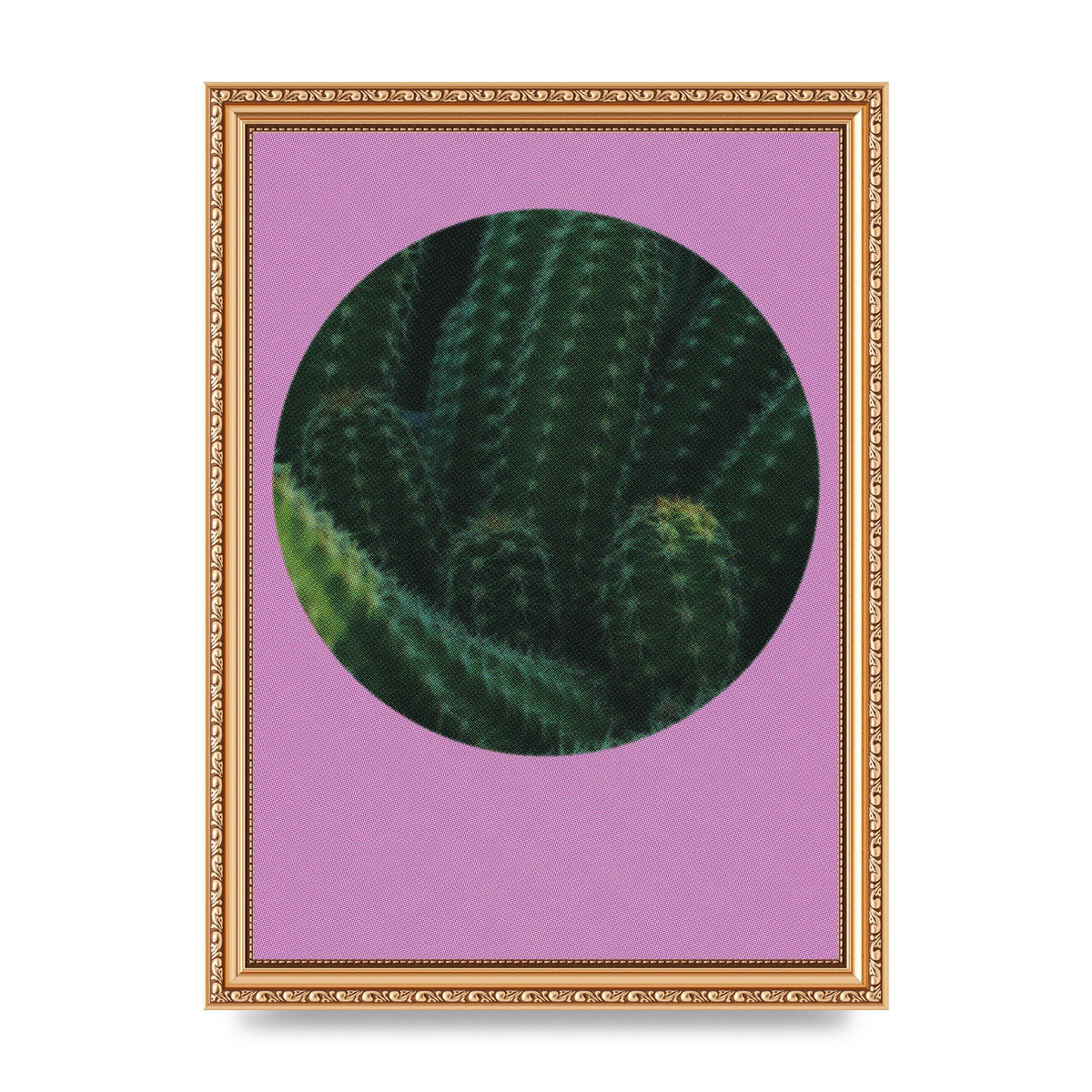 Halftone Cactus Pink Art For The Home - A4 framed
