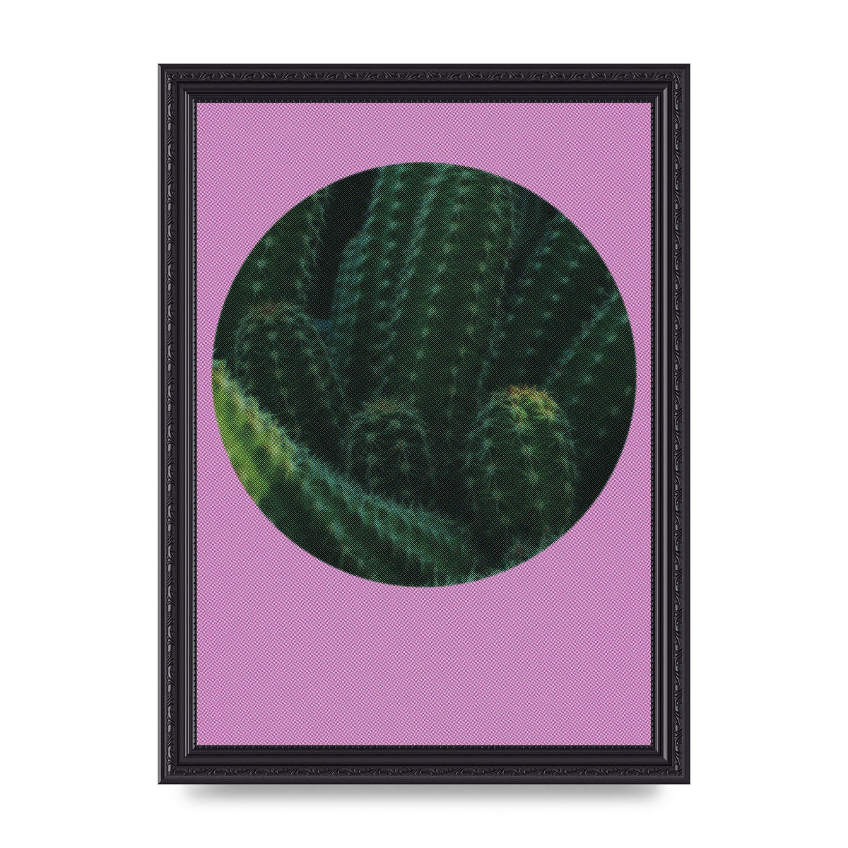 Halftone Cactus Pink Art For The Home - A4 framed