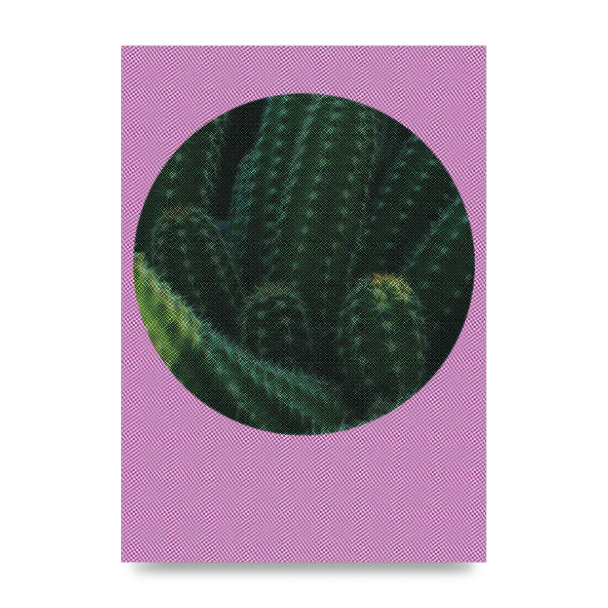 Halftone Cactus Pink Art For The Home - unframed print