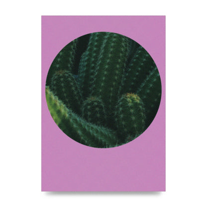 Halftone Cactus Pink Art For The Home - unframed print