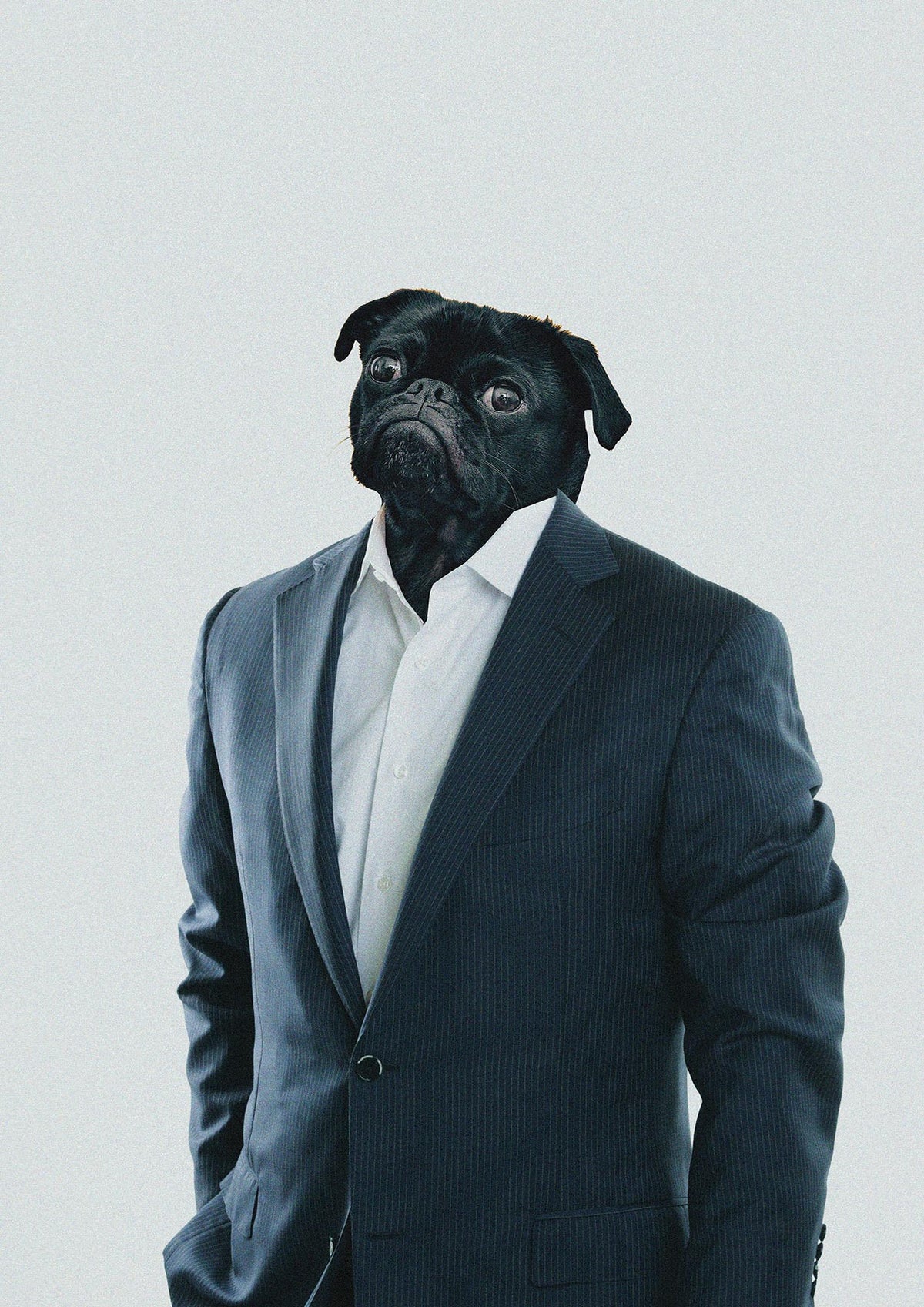 Pug Head Edit Art For The Home - detail
