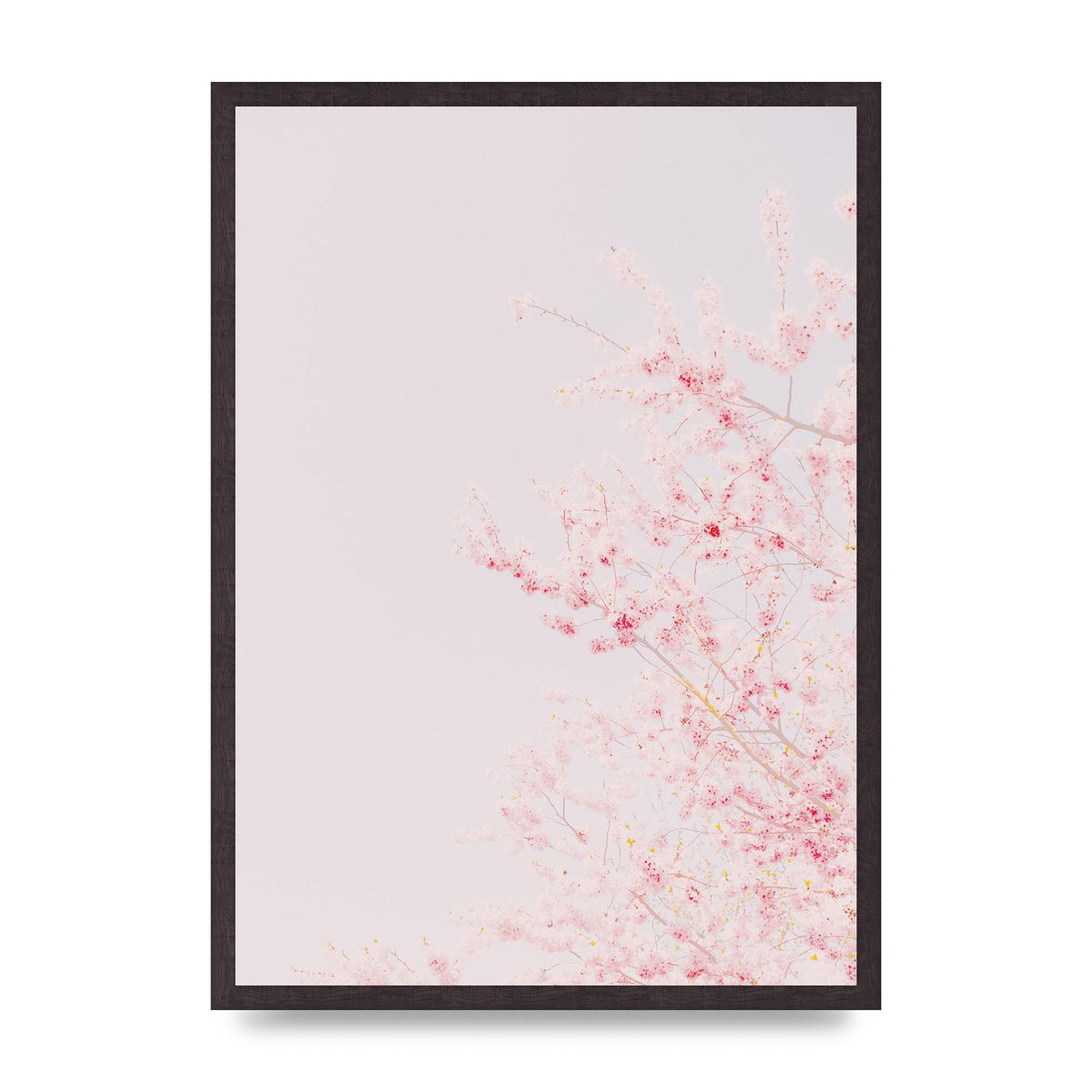 Minimalist Soft Flower Wall Art - A2 framed
