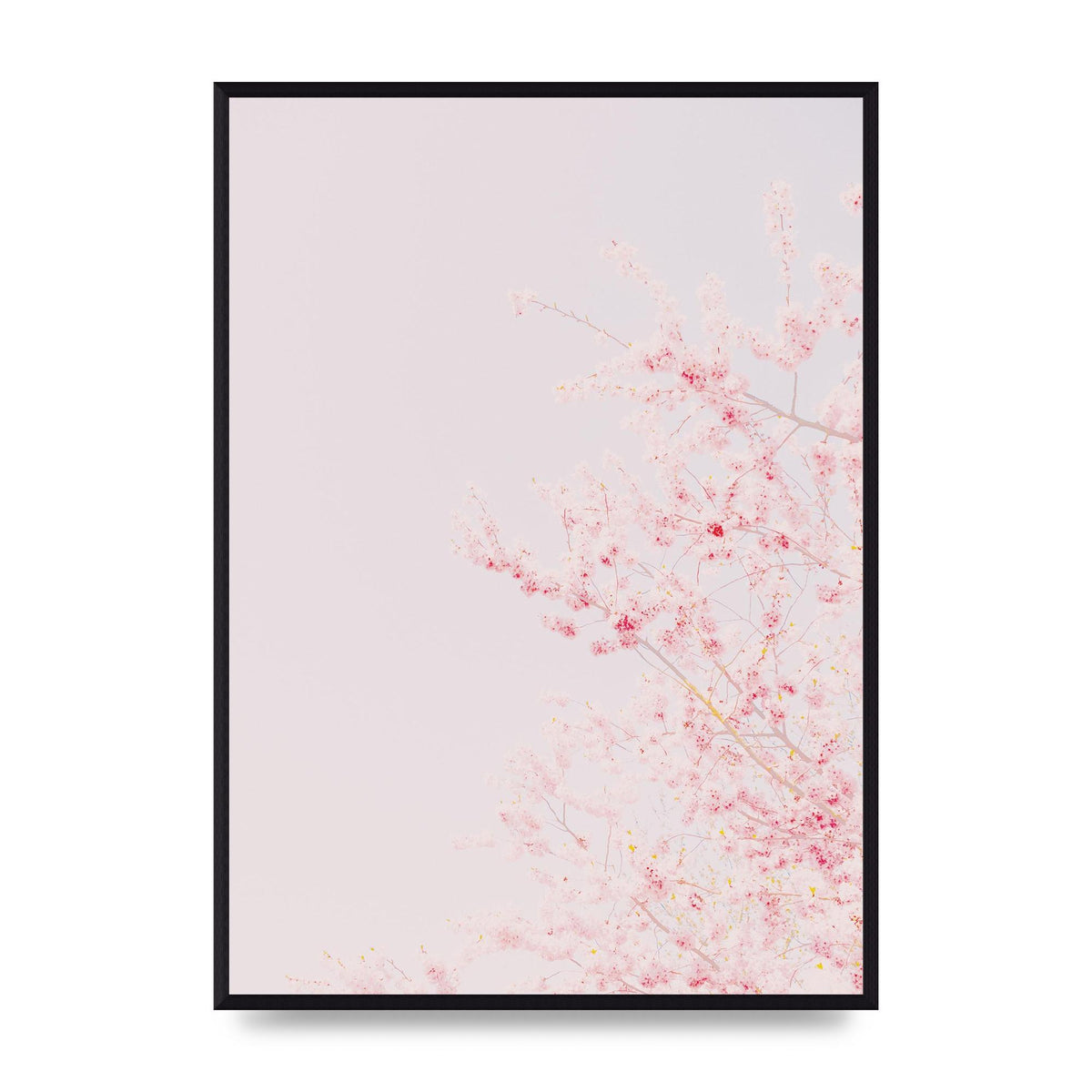 Minimalist Soft Flower Wall Art - A2 framed