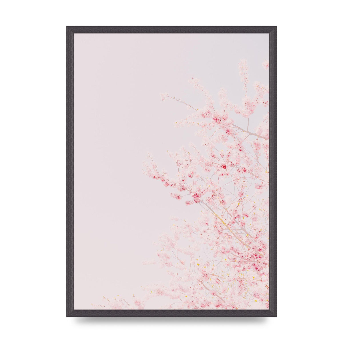 Minimalist Soft Flower Wall Art - A2 framed