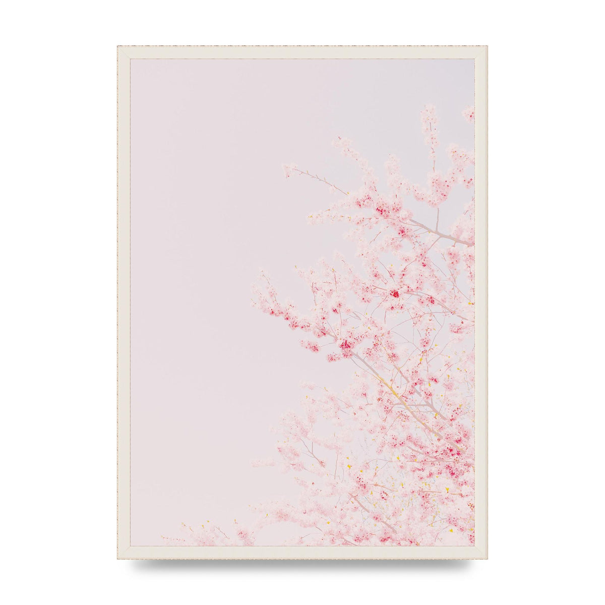 Minimalist Soft Flower Wall Art - A2 framed
