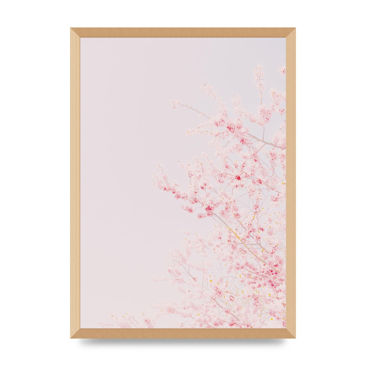 Minimalist Soft Flower Wall Art - A2 framed