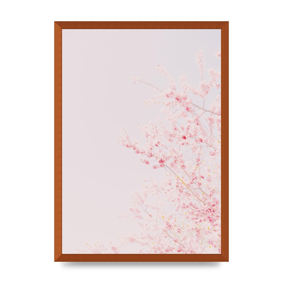 Minimalist Soft Flower Wall Art - A2 framed