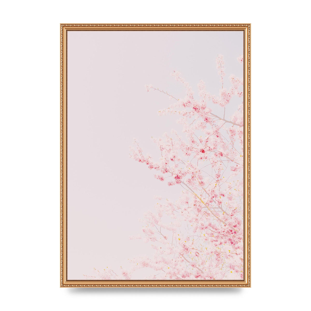 Minimalist Soft Flower Wall Art - A2 framed