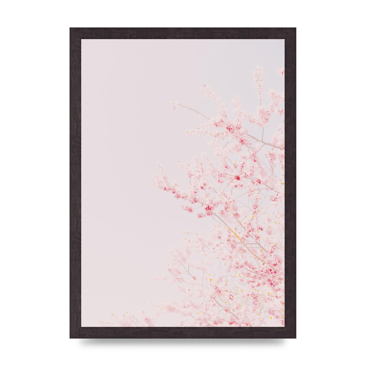 Minimalist Soft Flower Wall Art - A3 framed