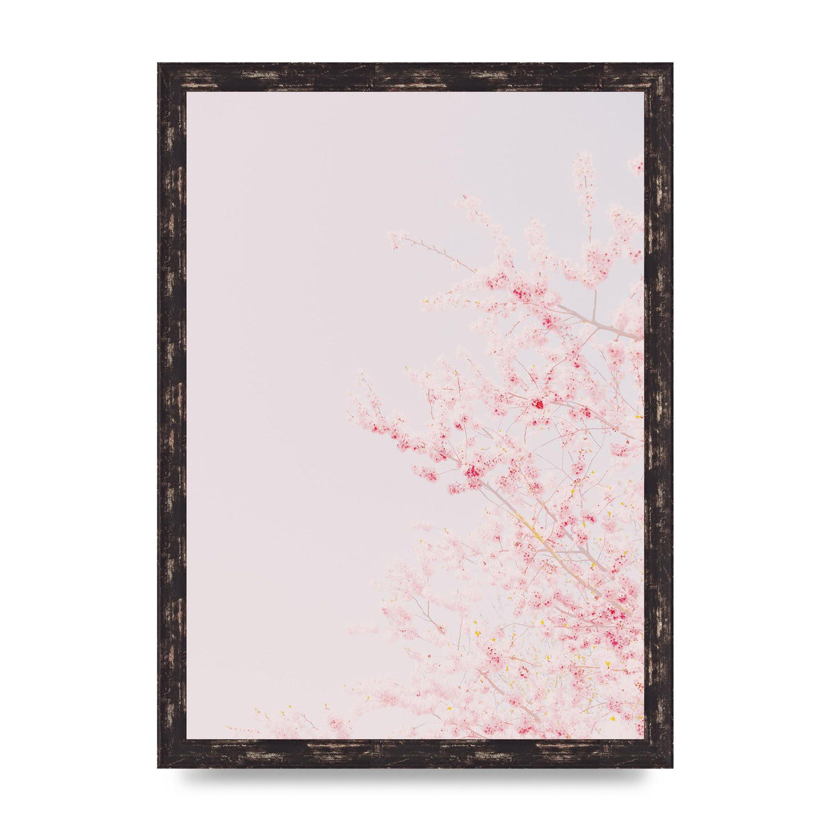 Minimalist Soft Flower Wall Art - A3 framed