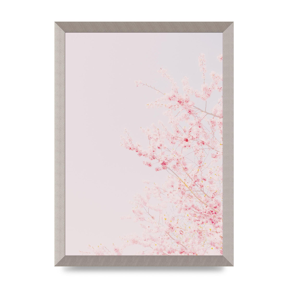 Minimalist Soft Flower Wall Art - A3 framed