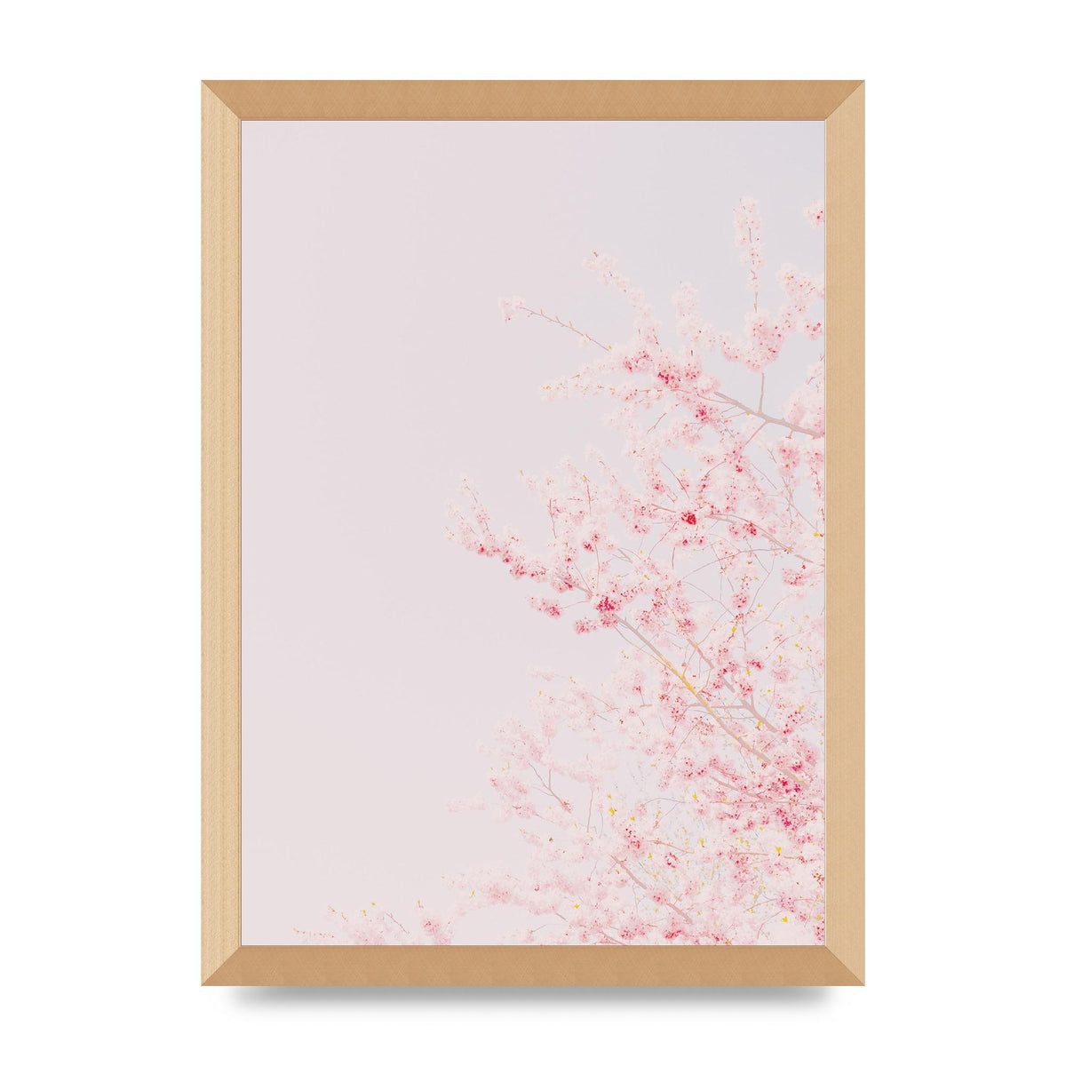 Minimalist Soft Flower Wall Art - A3 framed